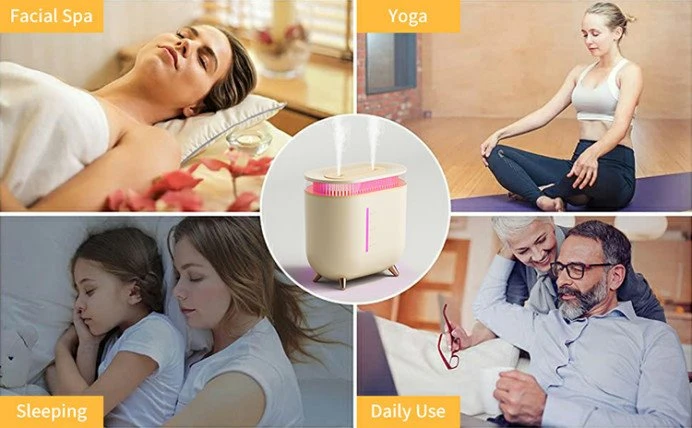 Dual Misting Humidifier